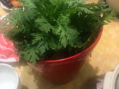 -清真军邺·金富苑肥牛(石坡街旗舰店)
