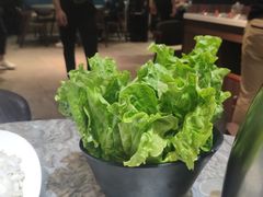 生菜-潮发潮汕牛肉店(芳村店)