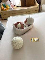 -玛丽亚妇产医院