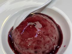 -丁老爷子苏香圆