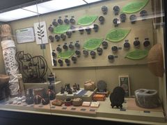 -北京植物园-展览温室