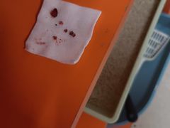 -瑞派福兴宠物医院犬猫全科·骨科·中西医结合(河东店)