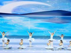 -中央芭蕾舞团·中芭艺蕾(酒仙桥明星校区)