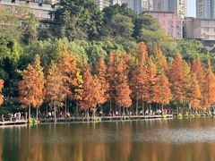 -重庆彩云湖湿地公园
