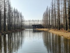 -黄海国家森林公园