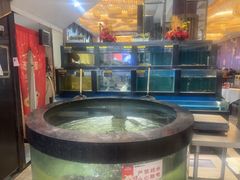 -聚鑫阁江浙菜·非遗传承技艺(青村帝华园店)