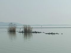 -太湖面馆十八浇(渔港路店)