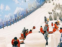 -世界之窗阿尔卑斯冰雪世界