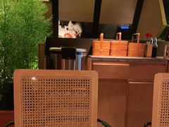 -初蓉丨遇见新川菜(亲贤街荣耀店)