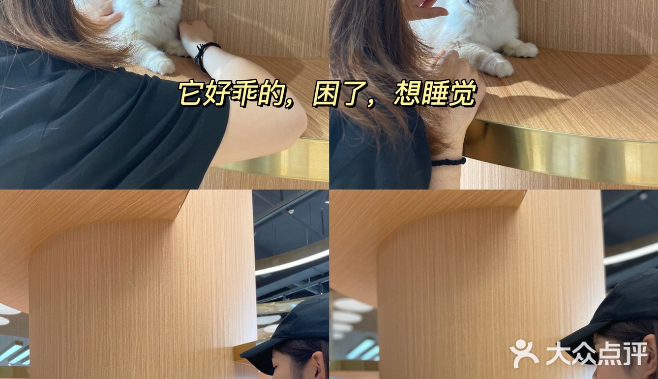 周末还不知道去哪里❓长沙这个超壕的宠物乐园
