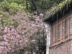 -惠山古镇·寄畅园