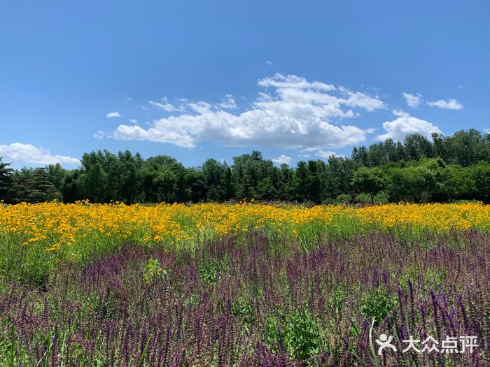 西湖园-图片-北京周边游-大众点评网