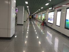 -紫庐(地铁站)