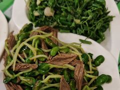-令氏家外家周秦食府(高新店)