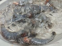 -密友回转自助火锅(中海环宇城店)