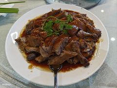-饭饭掂