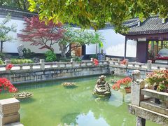 -上海醉白池公园