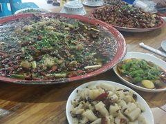-东吴霸王兔(松青路店)