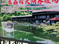-茗荔园农庄(大涌店)