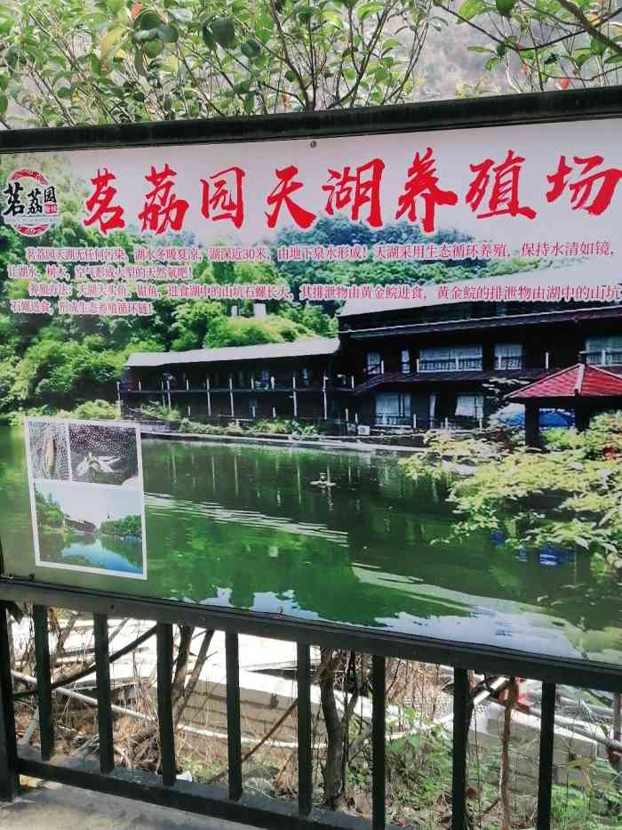 茗荔园农庄-"地点还是有点难找,没导航找不到,在一个山.