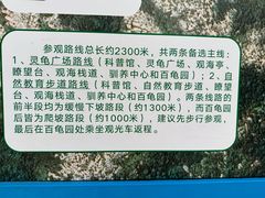 -广东惠东海龟国家级自然保护区