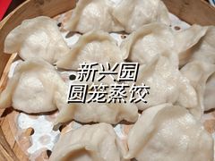 -新兴园饺子馆(河南街店)