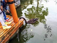 -杭州世外桃源君澜度假酒店