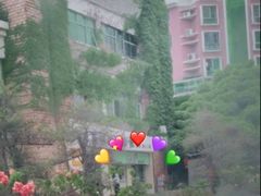 -九里香奶茶果汁(碧湖店)