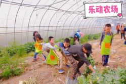 -麦粒鸟亲子游