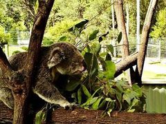 -苏州河梦清园环保主题公园