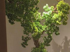-浅深(世茂滨江精品店)