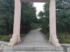 -北京西山国家森林公园