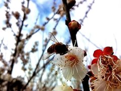 -广东天露山旅游度假区