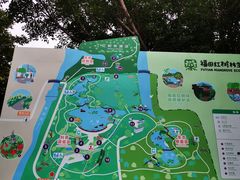 -福田红树林生态公园