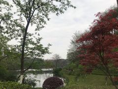 -重庆彩云湖湿地公园