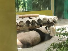 -杭州野生动物世界
