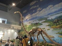 -自贡恐龙博物馆