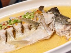 -九福楼大酒店