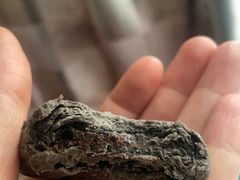 -祥禾饽饽铺·中式糕点(天津河东美福园店)