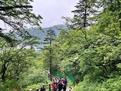 -峨眉山风景名胜区