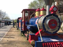 -永定河休闲森林公园