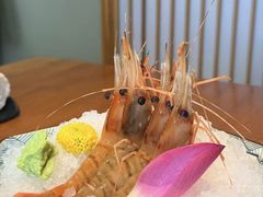 -月龍吟(朝龙汇店)