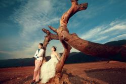 -费拉摄影(天廊T66店)