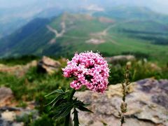 -北京灵山风景区