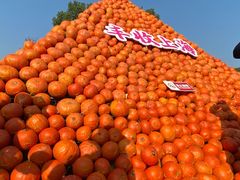-上海月湖雕塑公园