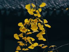 -无锡惠山寺