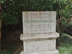 -灵谷景区