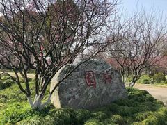 -上海海湾国家森林公园