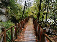 -青峰峡国家森林公园