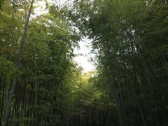 -南山风景名胜区